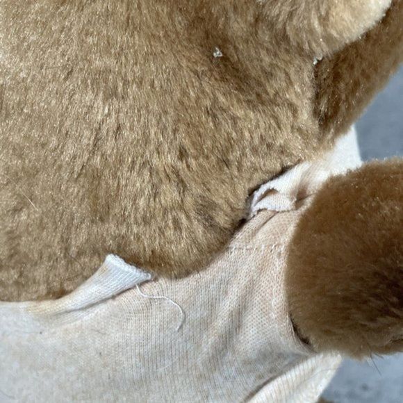 Vtg 90s Hard Rock Cafe Washington DC Teddy Bear Save the Planet Souvenir Plush - Picture 4 of 8